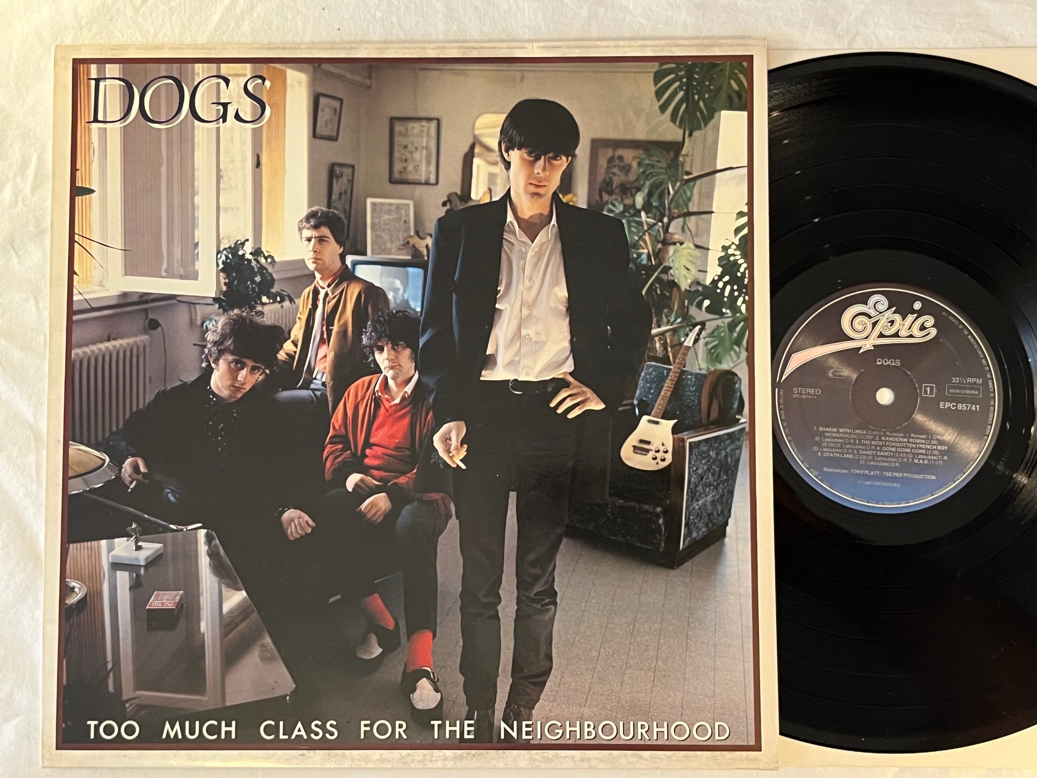 Omslagsbild för skivan DOGS Too Much Class For The Neighbourhood LP -82 Hol EPIC EPC 85741