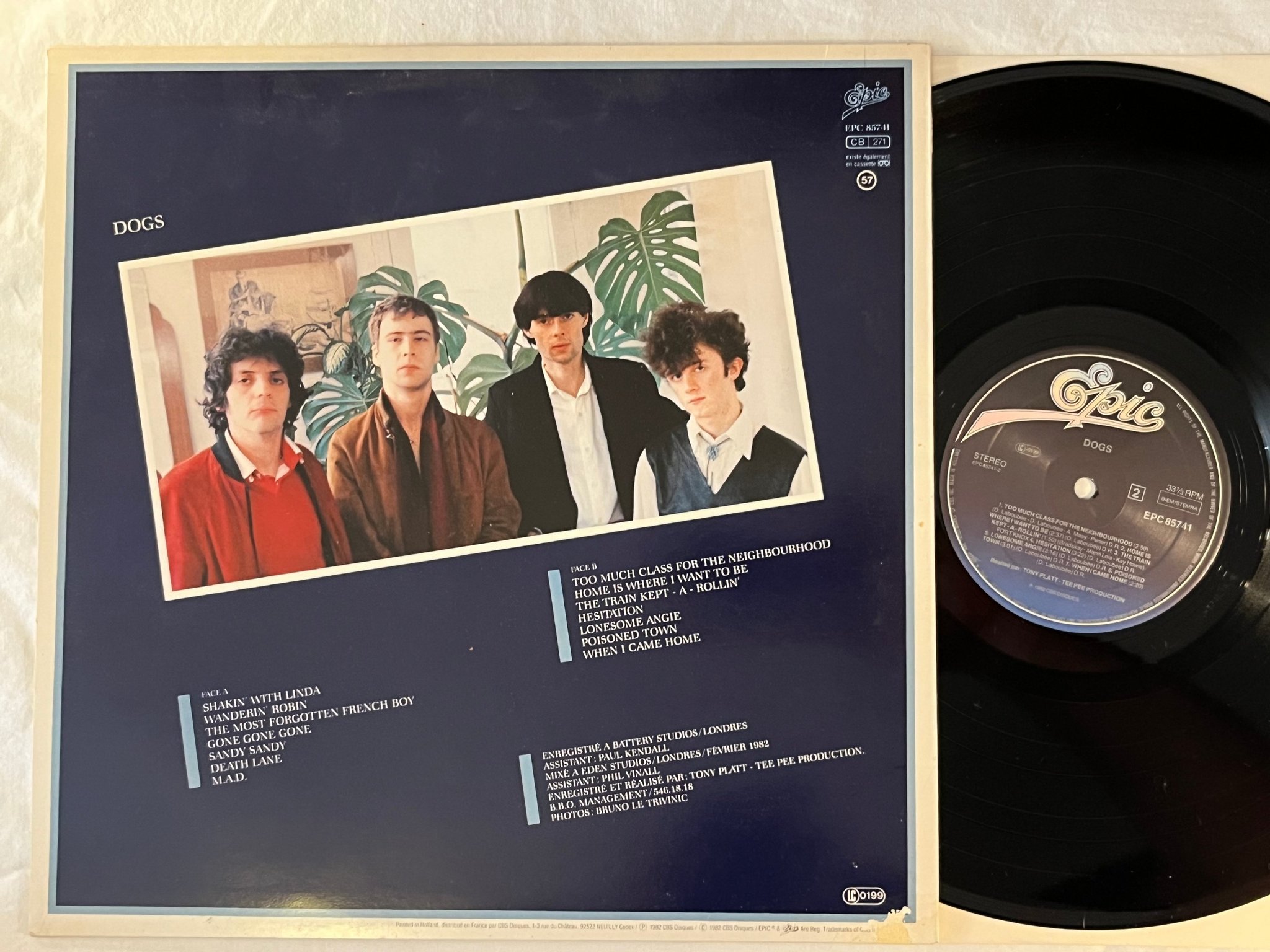 Omslagsbild för skivan DOGS Too Much Class For The Neighbourhood LP -82 Hol EPIC EPC 85741