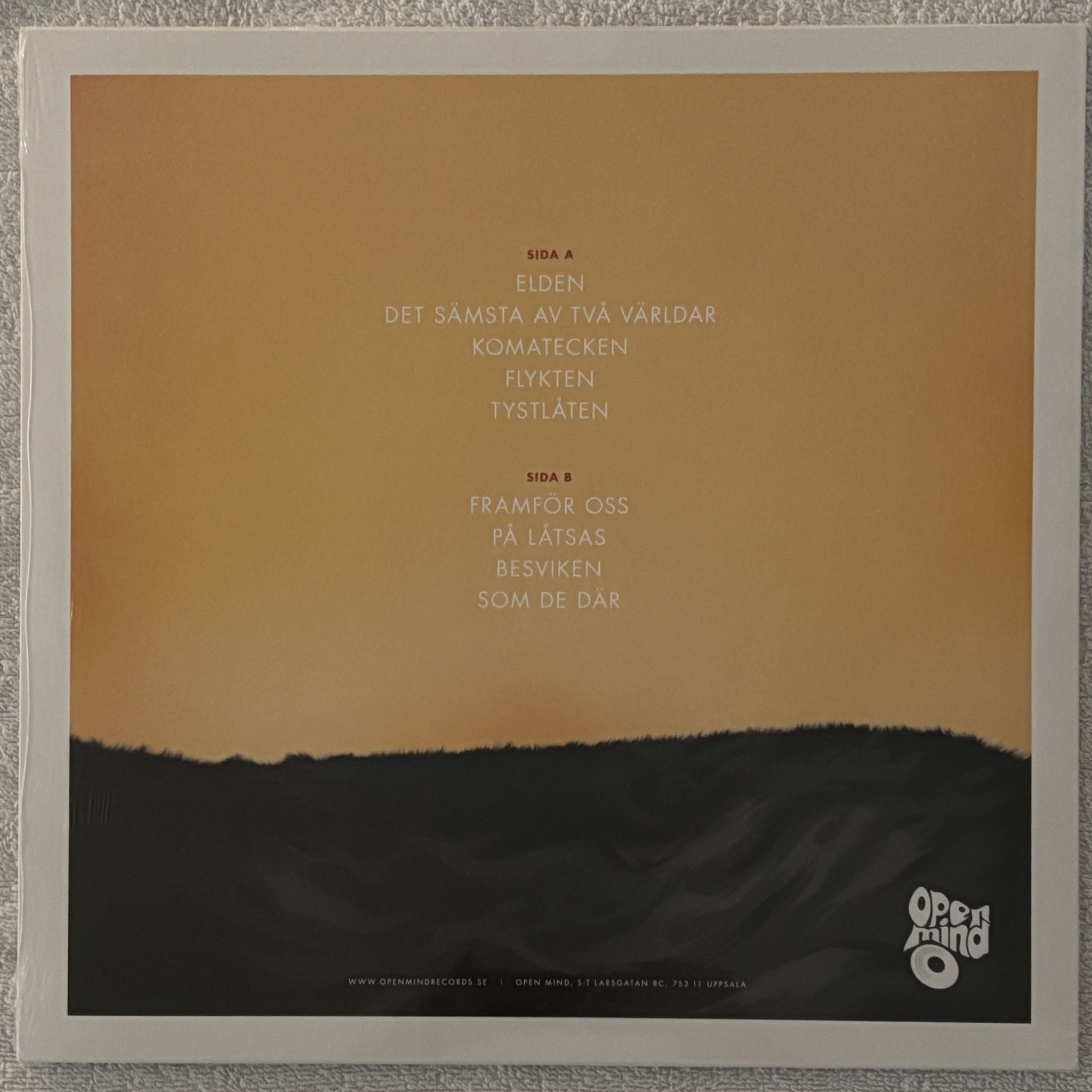 Omslagsbild för skivan DÖDA HAVET LP Open Mind Records OM 007