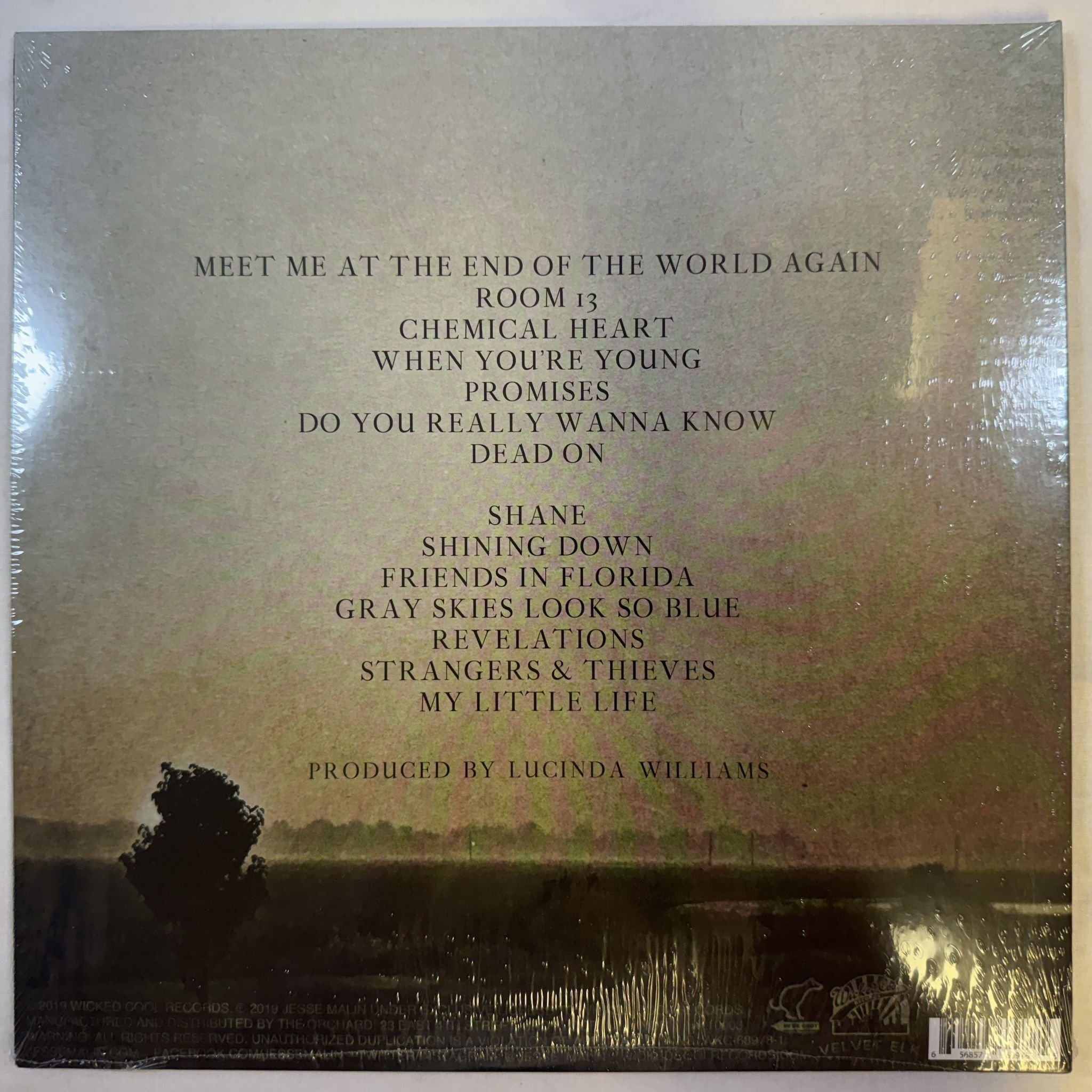 Omslagsbild för skivan JESSE MALIN sunset kids LP -2019 Wicked Cool Record Company – WKC-68978-1