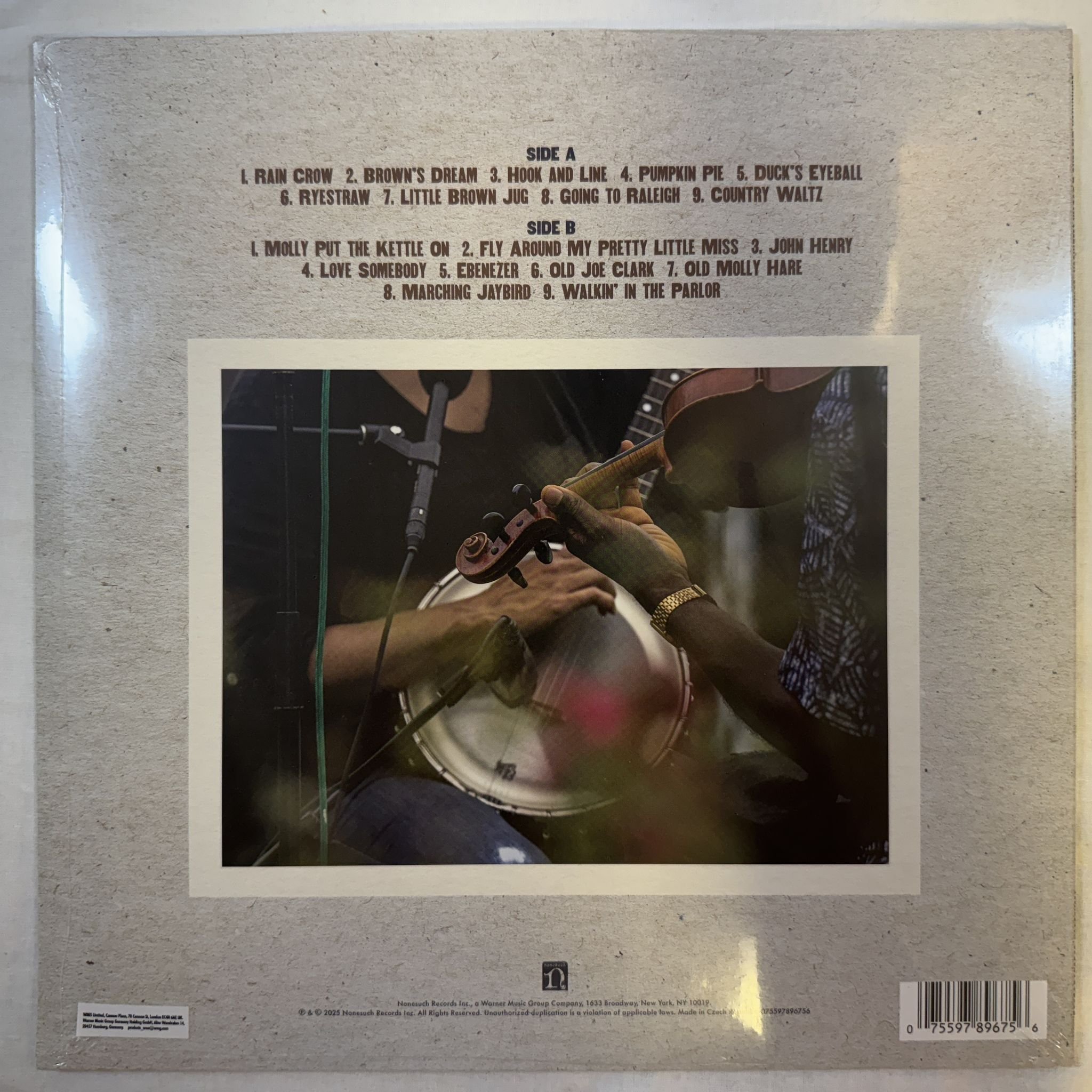 Omslagsbild för skivan VARIOUS what did the black bird say to the crowd LP -2025 Nonesuch 075597896756