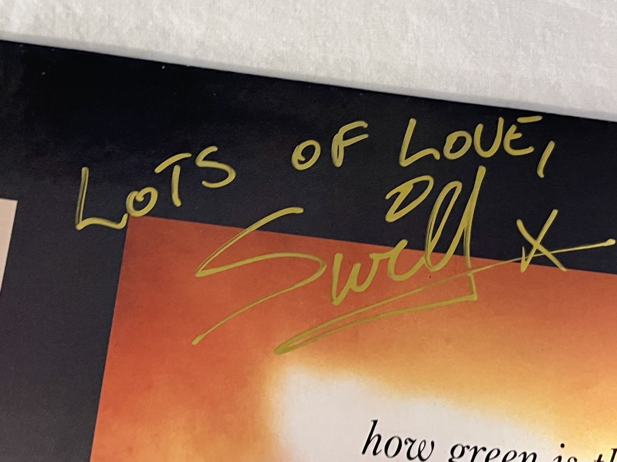 Omslagsbild för skivan The Men They Couldn't Hang – How Green Is The Valley LP -87 MCA * Signed Cover