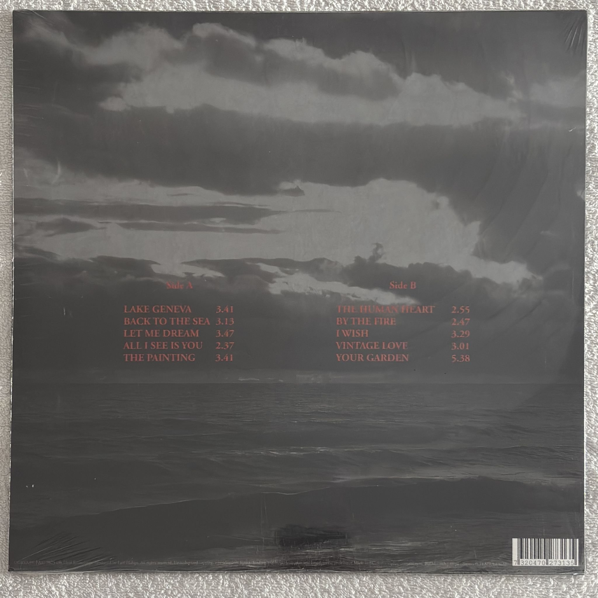 Omslagsbild för skivan SOPHIE ZELMANI Lake Genava LP Oh Dear Recordings ODRVA09