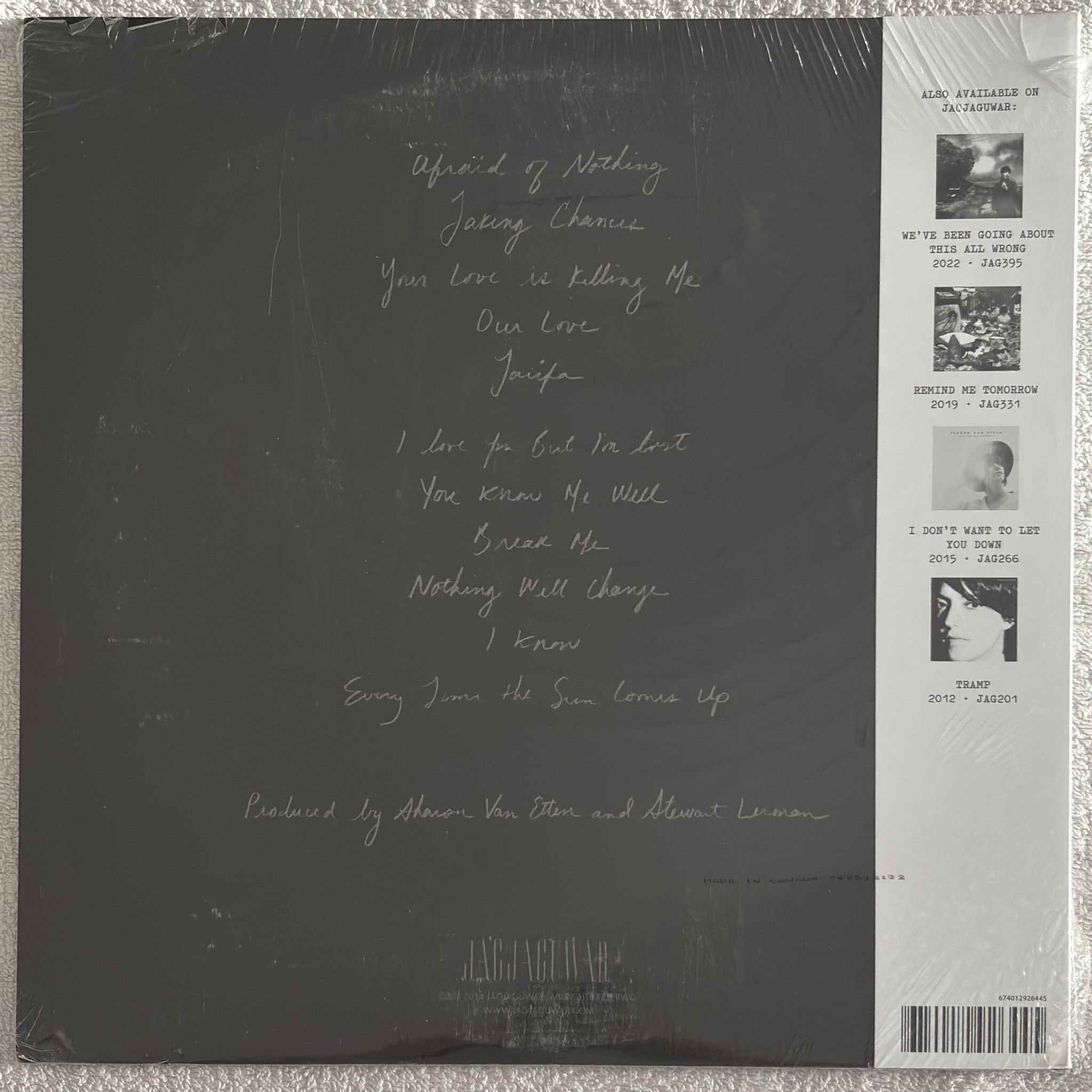 Omslagsbild för skivan SHARON VAN ETTEN Are We There LP Jagjaguwar JAG255