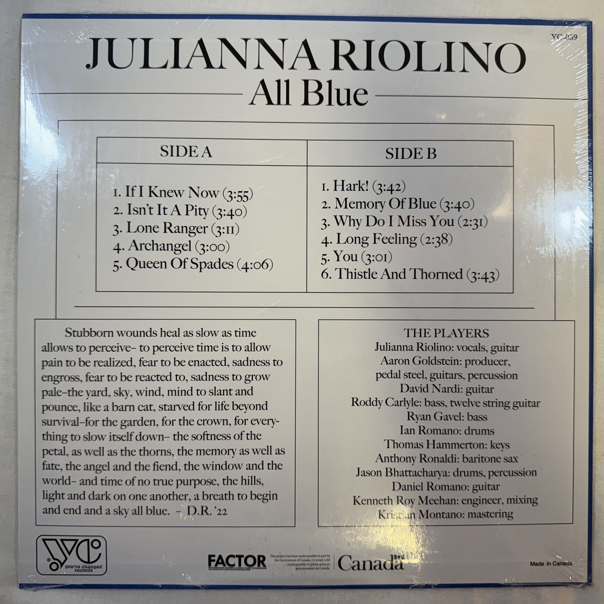 Omslagsbild för skivan JULIANNA RIOLINO all blue LP -2022 You've Changed Records – YC-059