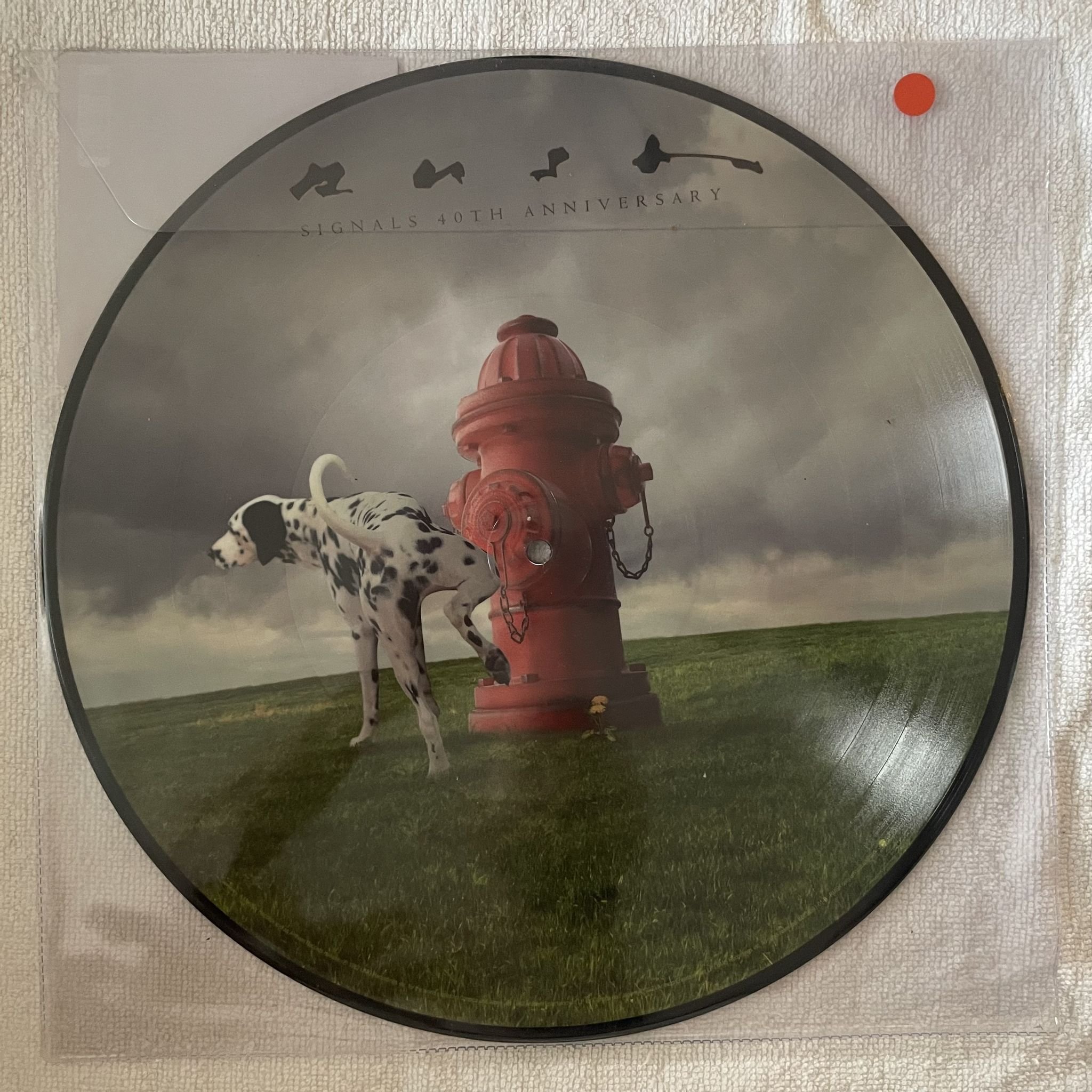 Omslagsbild för skivan RUSH signals LP -2023 Mercury – B0036561-01