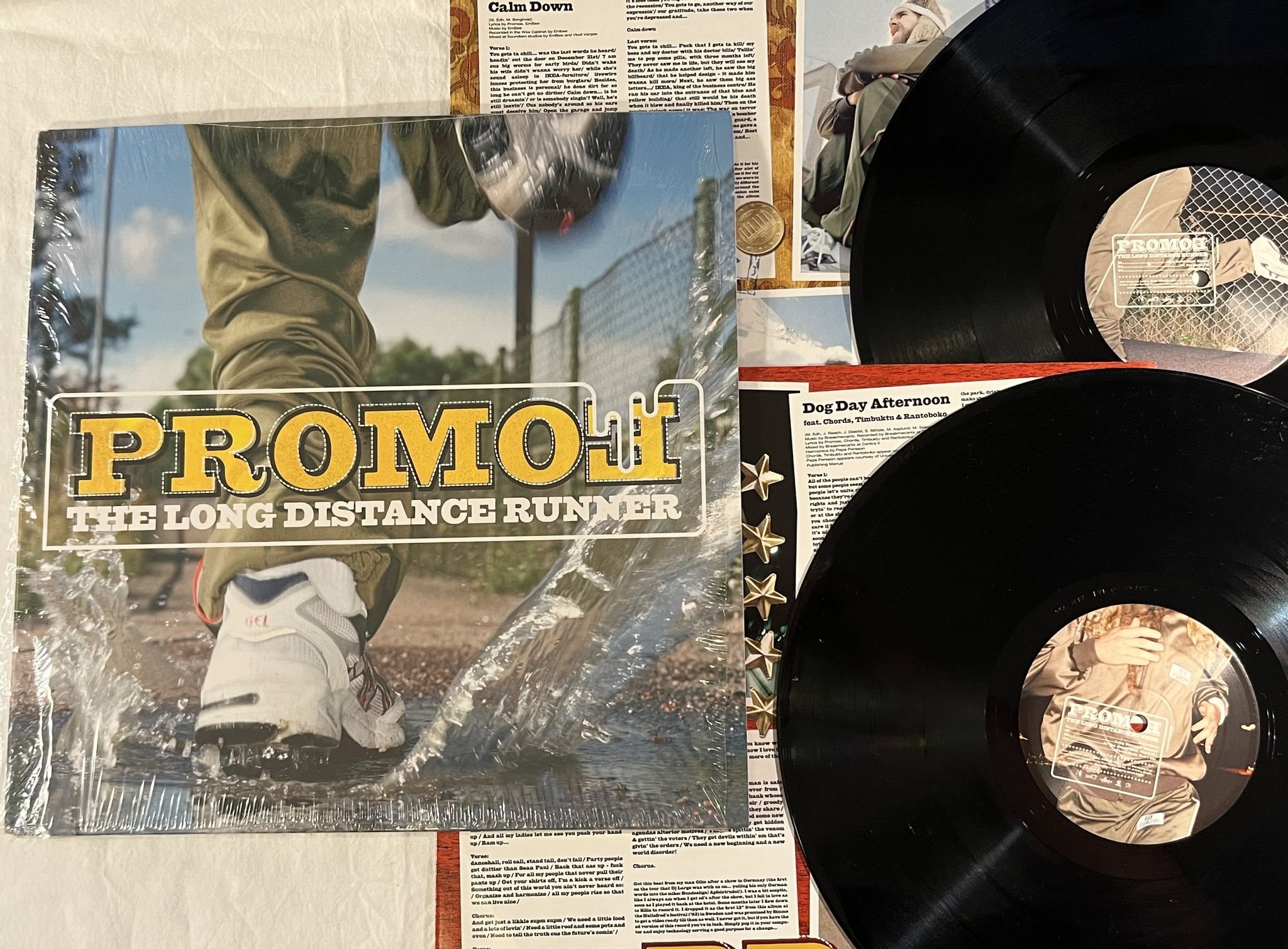 Omslagsbild för skivan PROMOE The Long Distance Runner 2xLP 2004 David Vs. Goliath – DVSG 031-1