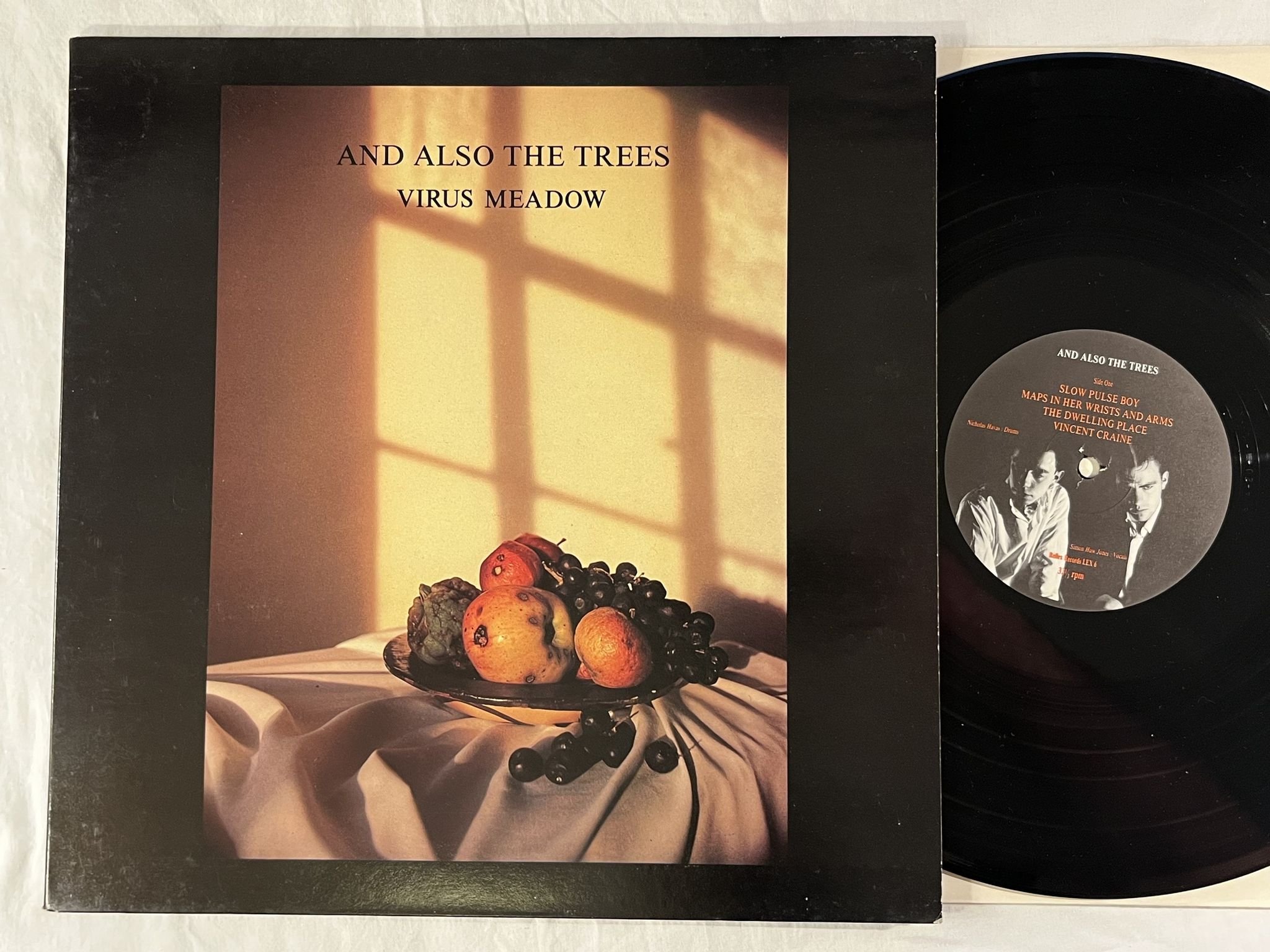 Omslagsbild för skivan AND ALSO THE TREES Virus Meadow LP -86 UK REFLEX LEX 6