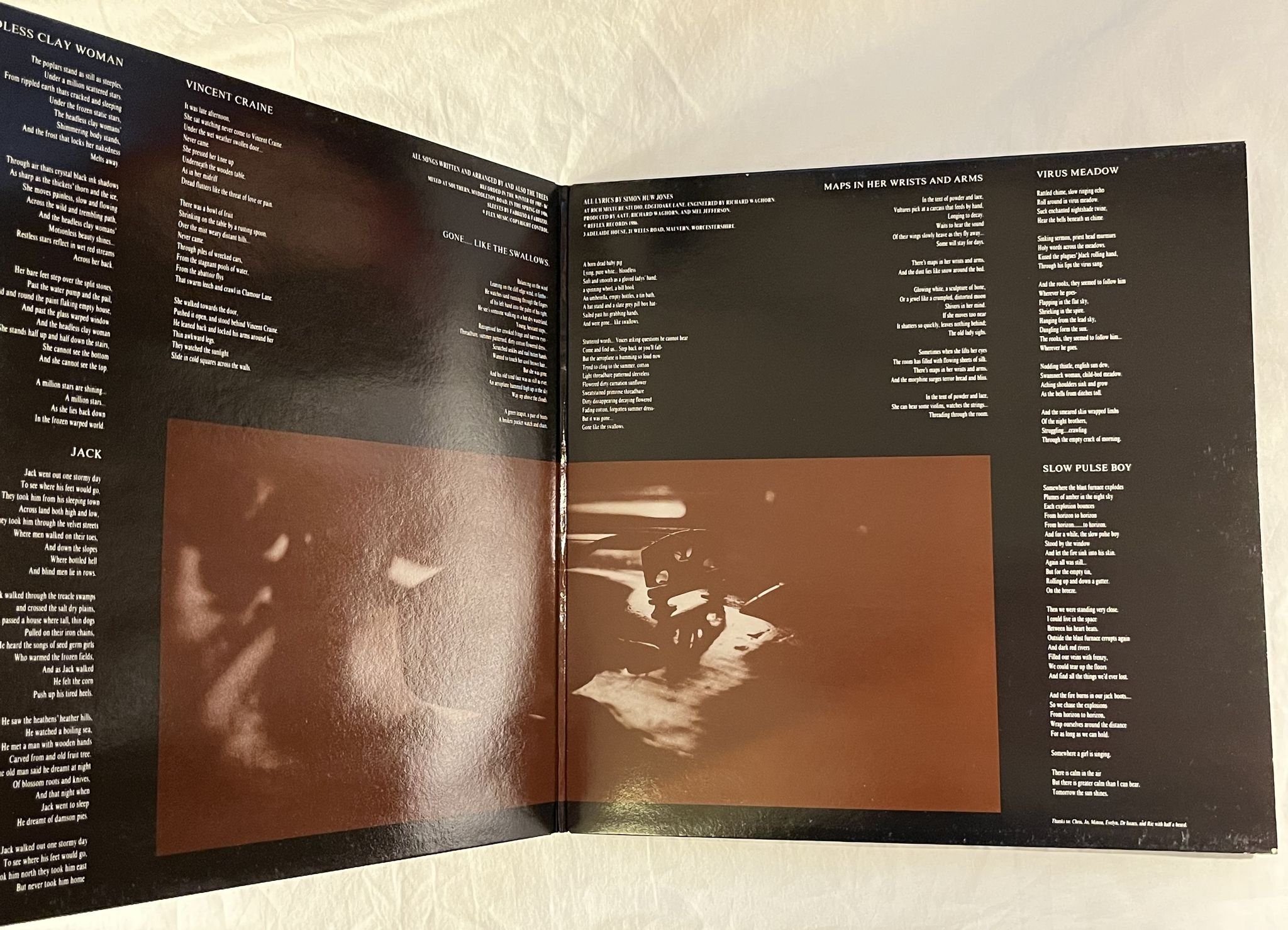 Omslagsbild för skivan AND ALSO THE TREES Virus Meadow LP -86 UK REFLEX LEX 6